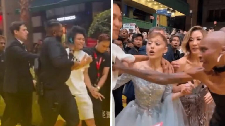 Plecas e informacion (28)