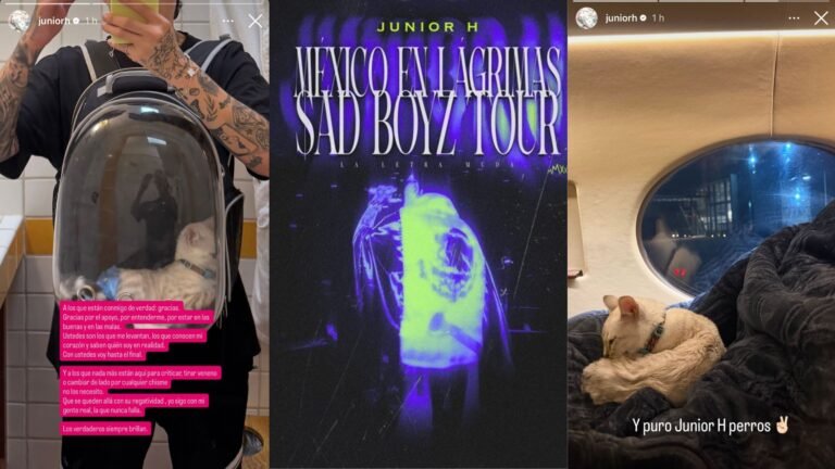 Plecas e informacion (29)