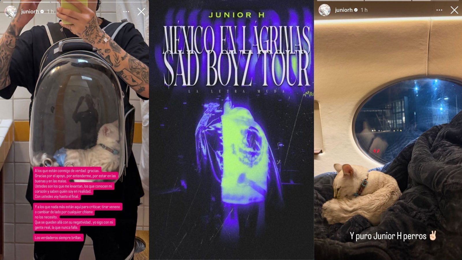 Plecas e informacion (29)