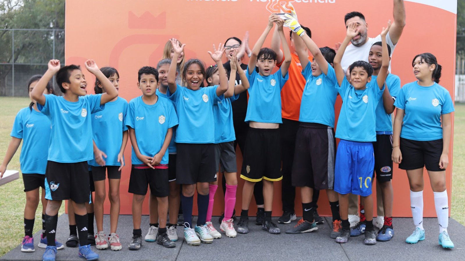 Plecas e informacion (31)