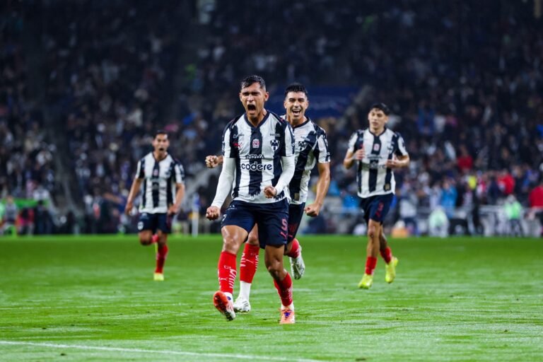 RAYADOS X