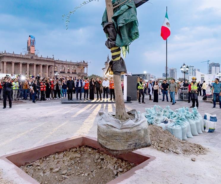 nota4a-cc99a414-focus-0.09-min0.2-745-622