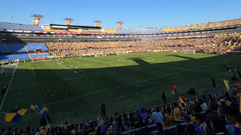 Plecas e informacion (10)