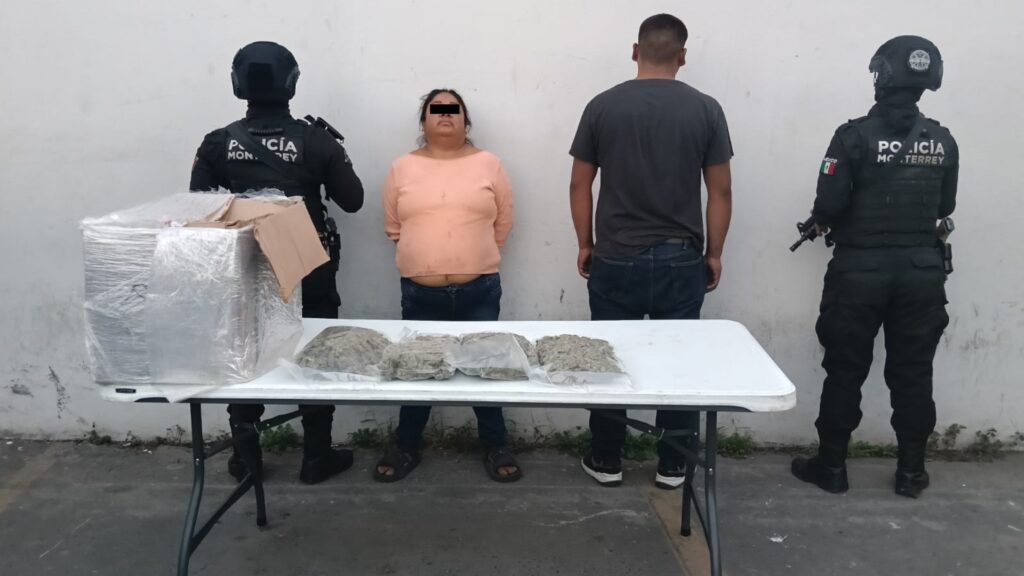 Plecas e informacion (100)