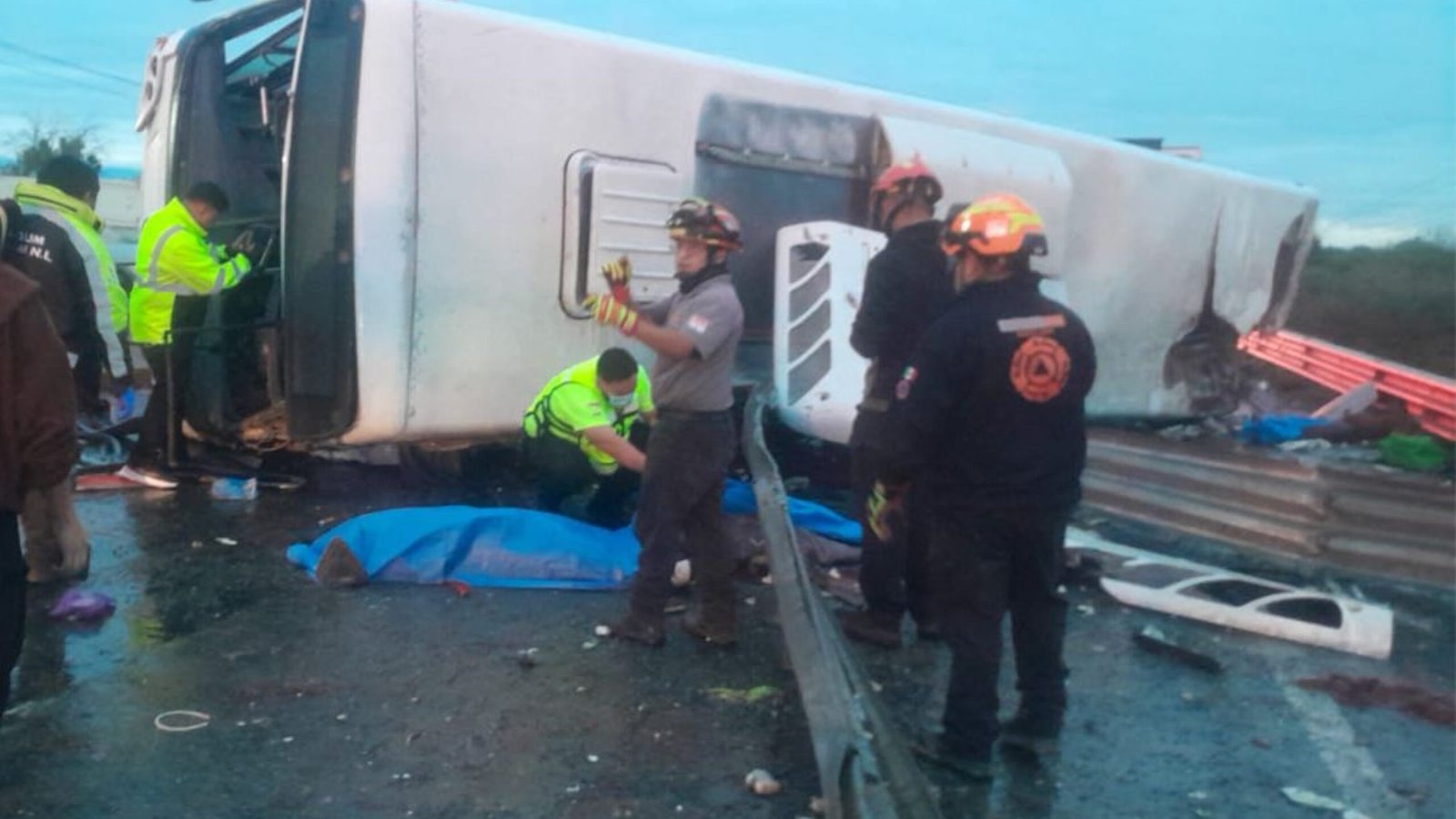 Plecas e informacion (14)