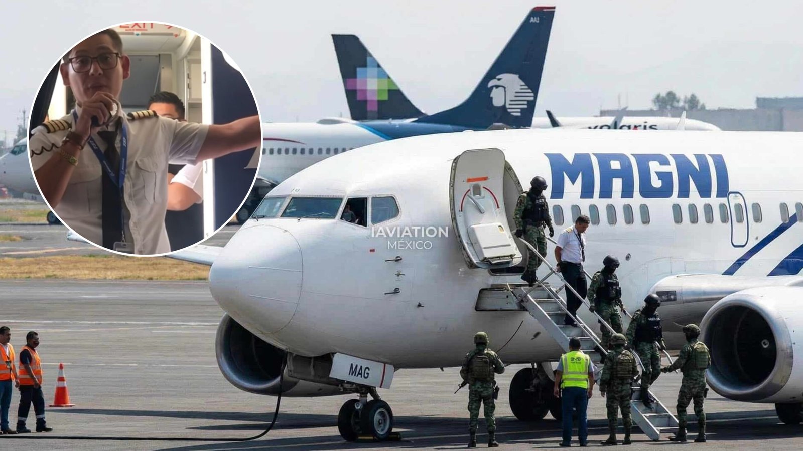 Plecas e informacion (15)