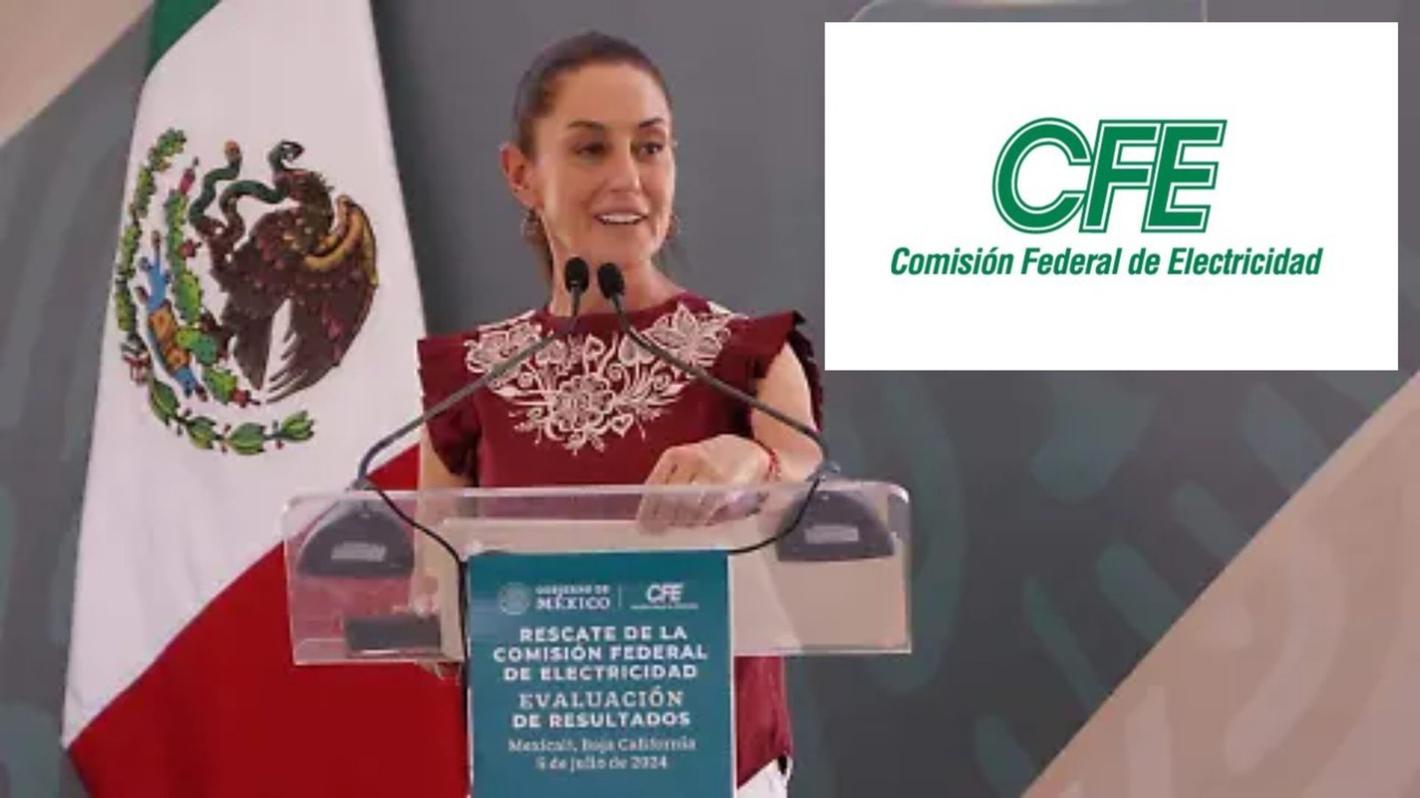 Plecas e informacion (16)