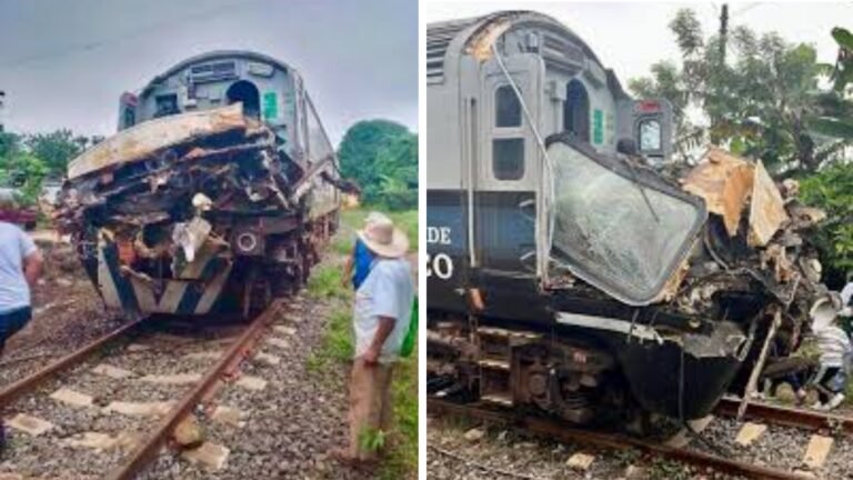 Plecas e informacion (17)