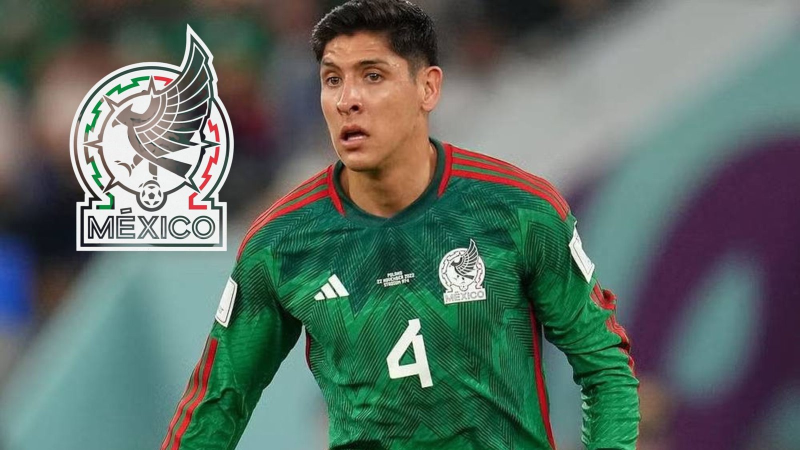 Plecas e informacion (20)