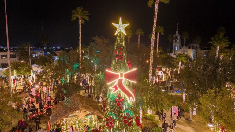 Encendido del pino navideño en Salinas Victoria 2024