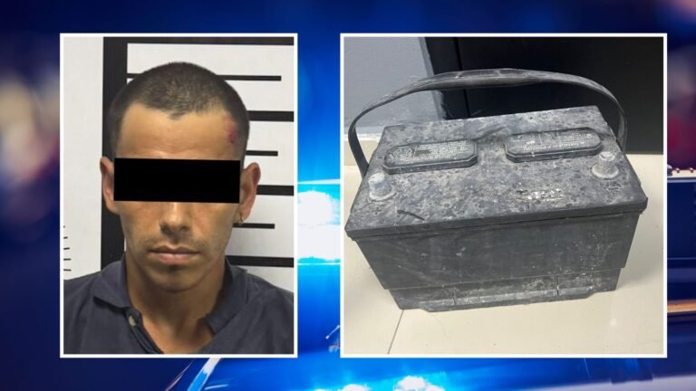 Plecas e informacion - 2025-12-01T163912.902