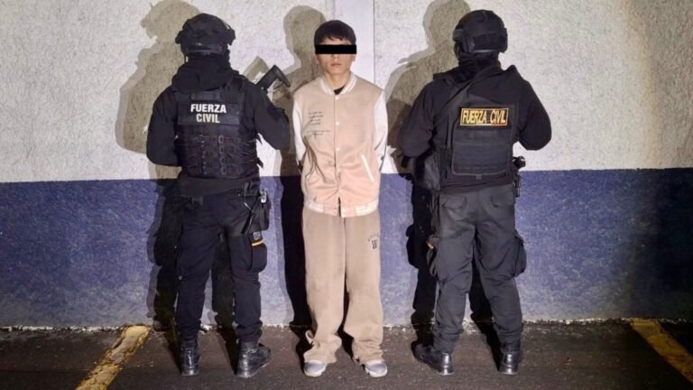 Plecas e informacion - 2025-12-01T192902.424