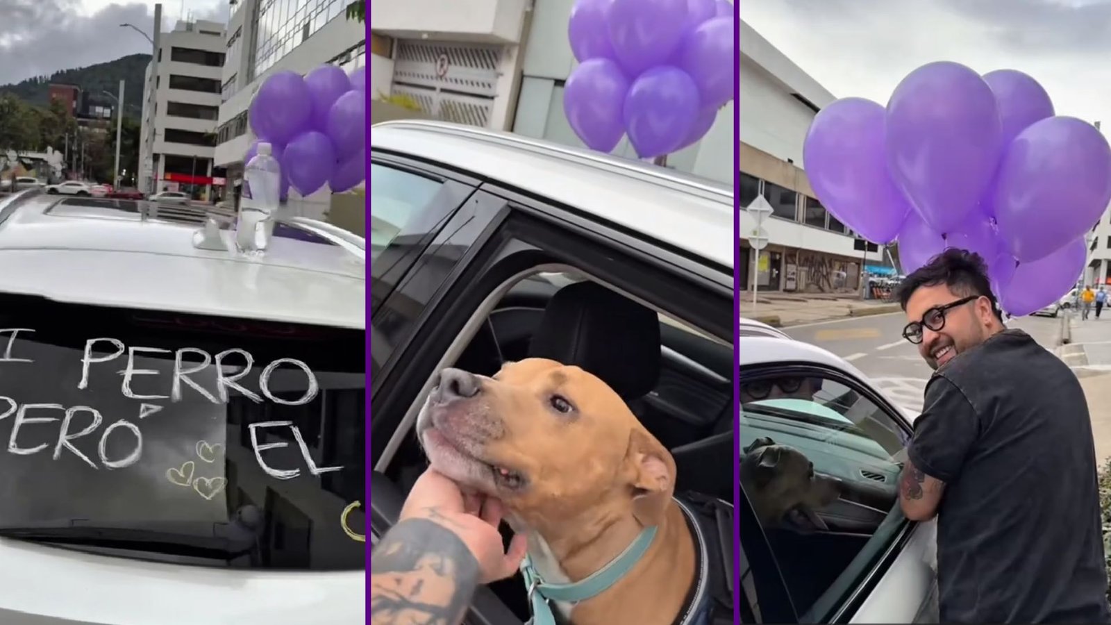 Plecas e informacion - 2025-12-01T195829.792