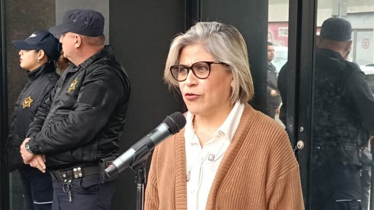 Plecas e informacion - 2025-12-02T215336.032