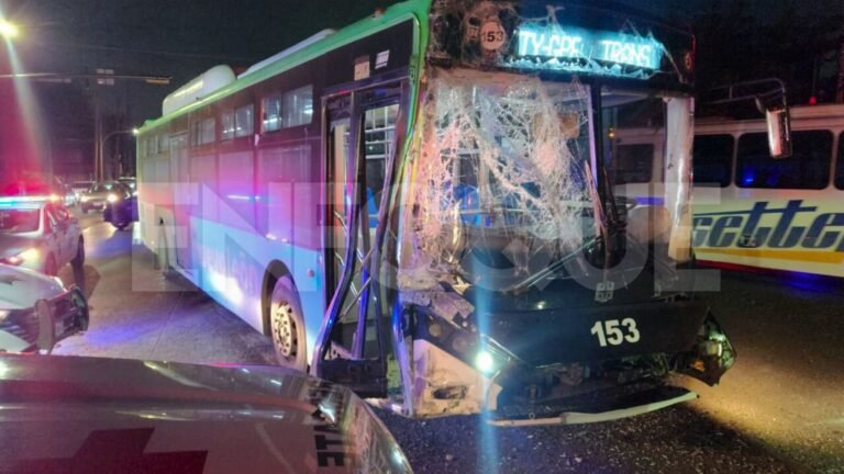 Plecas e informacion - 2025-12-03T160627.943