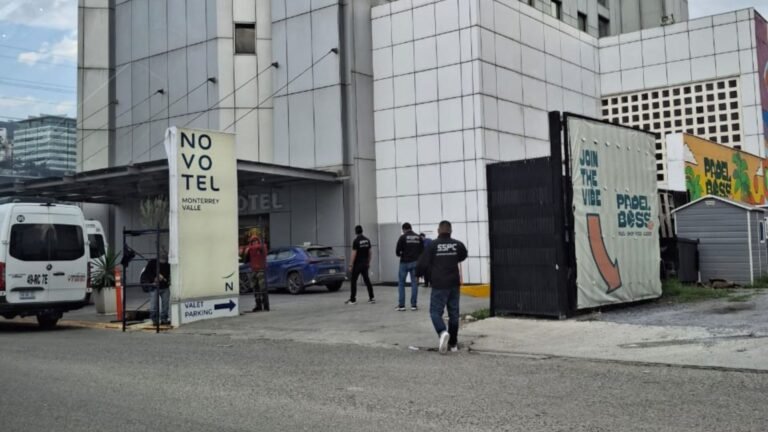 Plecas e informacion - 2025-12-03T180511.493