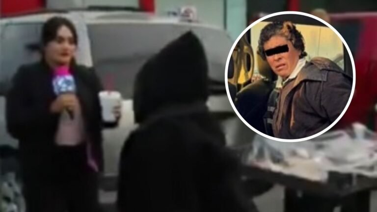 Plecas e informacion - 2025-12-04T171139.411