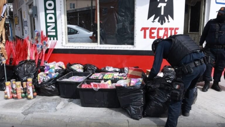 Plecas e informacion - 2025-12-04T173939.883