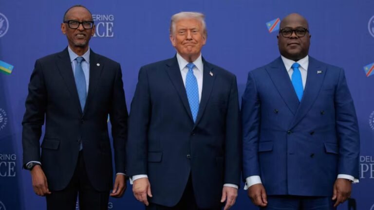 Plecas e informacion - 2025-12-04T182726.410