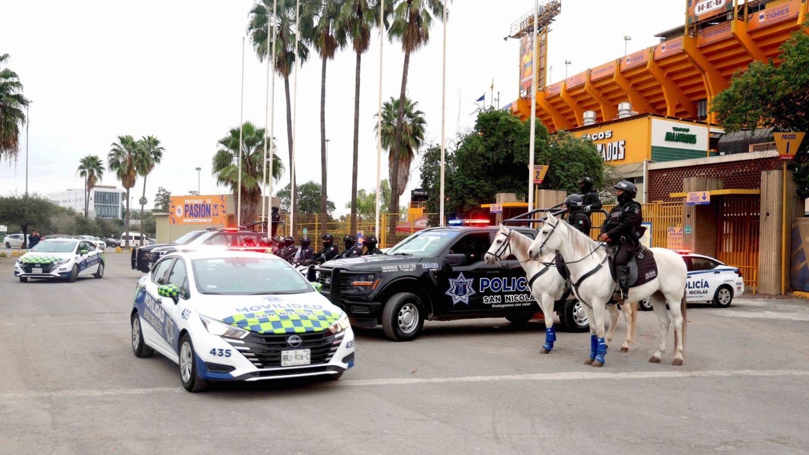 Plecas e informacion - 2025-12-05T163250.170