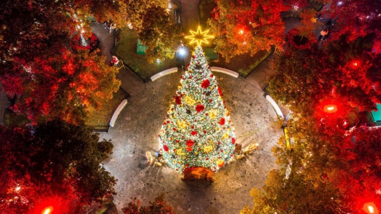 Plecas e informacion - 2025-12-06T120736.588