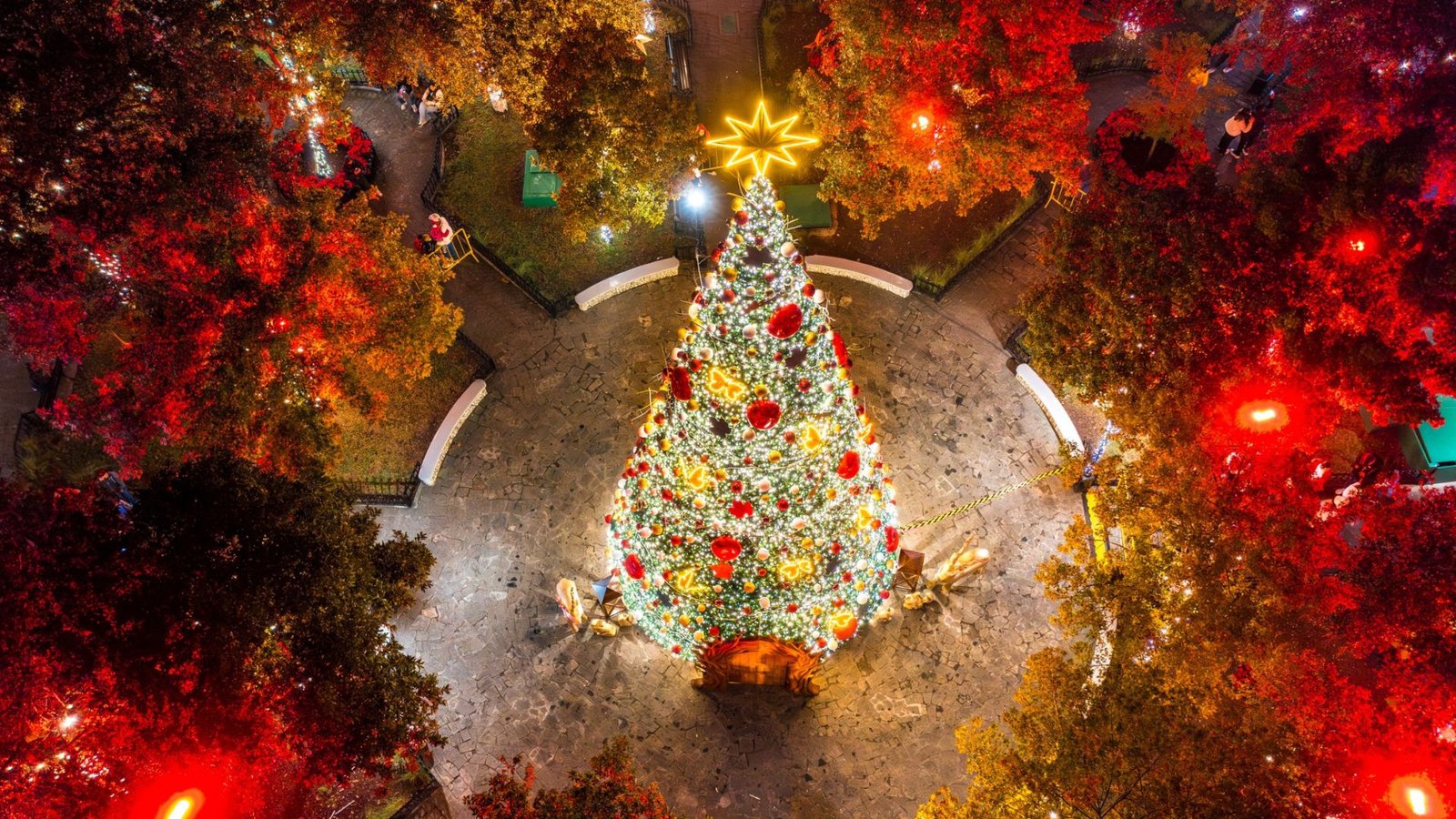 Plecas e informacion - 2025-12-06T120736.588