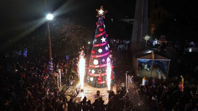 Plecas e informacion - 2025-12-06T124730.707