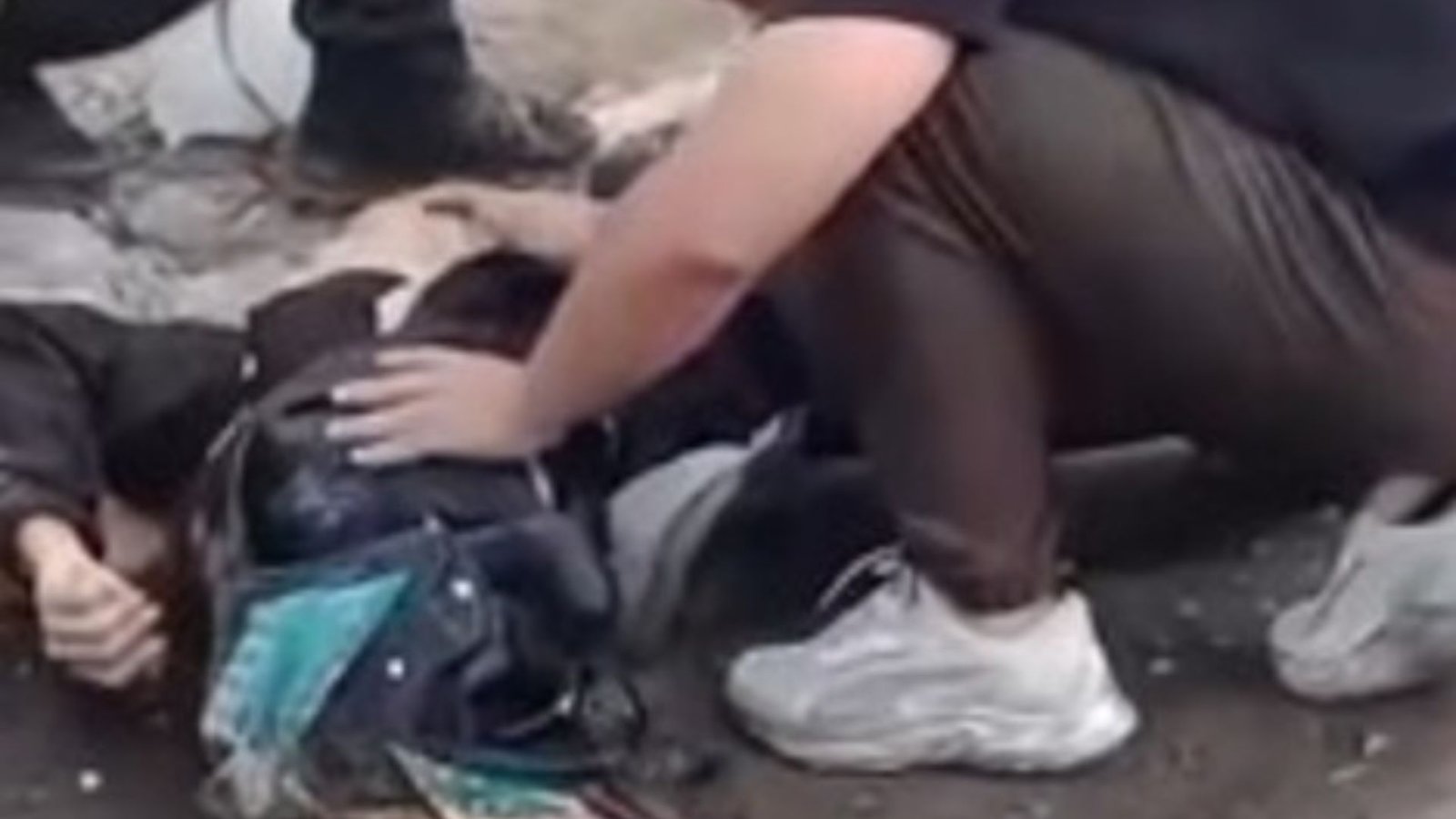 Plecas e informacion - 2025-12-07T130706.509