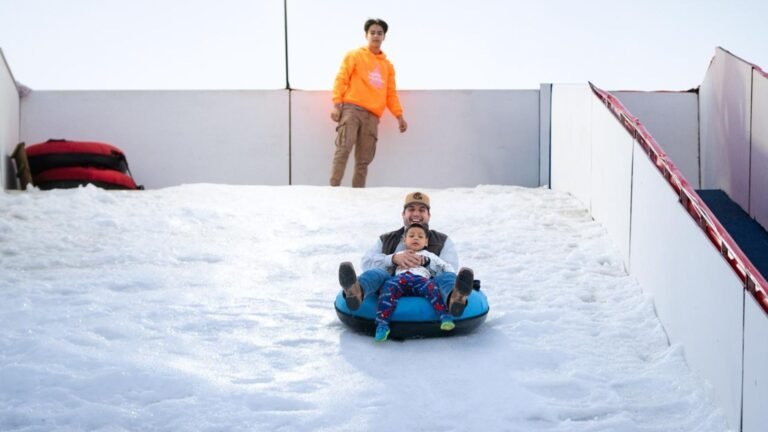 Plecas e informacion - 2025-12-08T175443.345