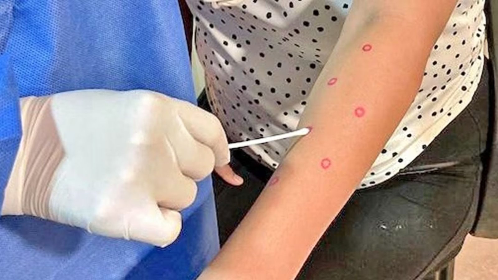 Plecas e informacion - 2025-12-08T194751.269