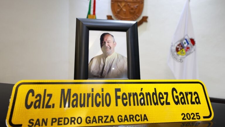 Plecas e informacion - 2025-12-09T191220.930