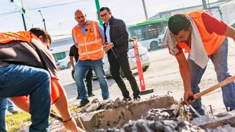 Plecas e informacion - 2025-12-09T202145.681