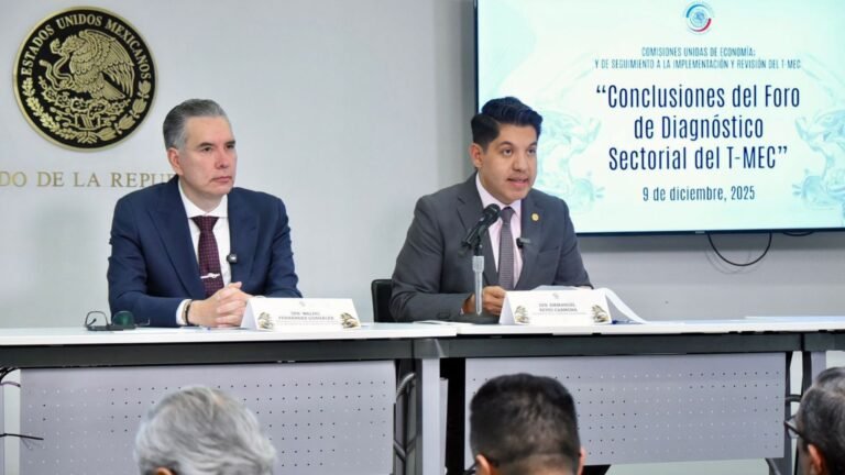 Plecas e informacion - 2025-12-09T203244.948