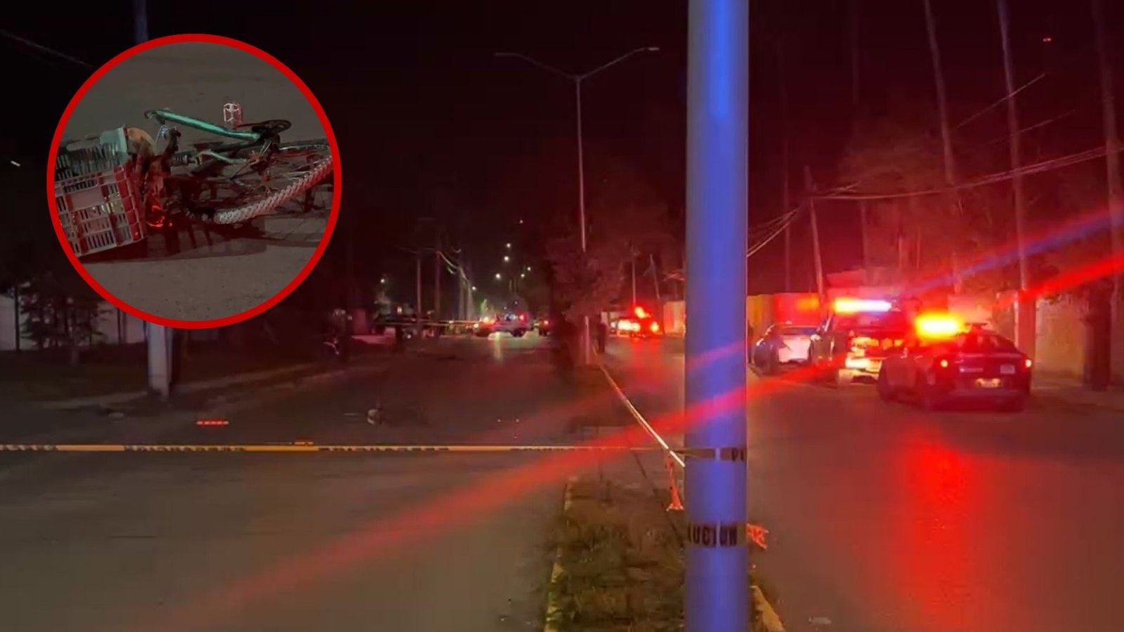 Plecas e informacion - 2025-12-10T213236.450