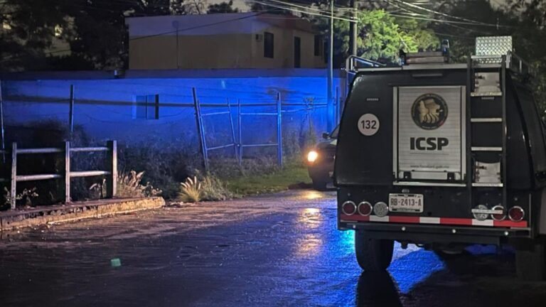 Plecas e informacion - 2025-12-15T204803.923