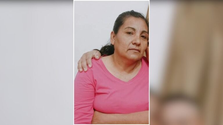 Plecas e informacion - 2025-12-15T215358.273