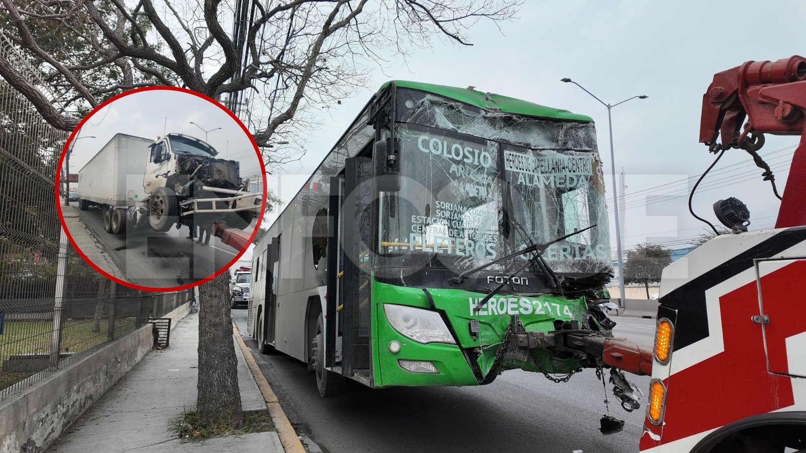 Plecas e informacion - 2025-12-16T180307.614