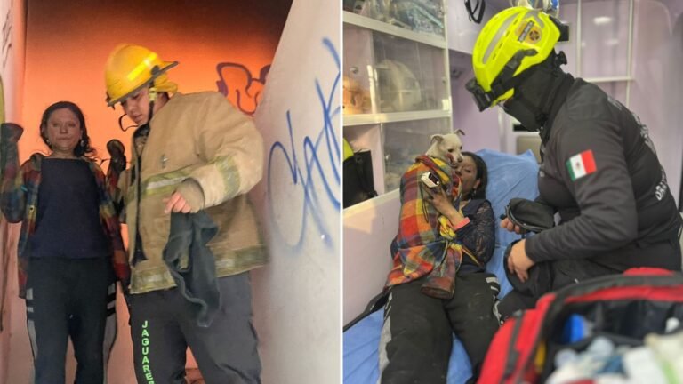 Plecas e informacion - 2025-12-17T191420.302