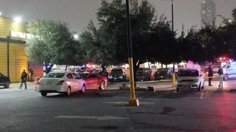 Plecas e informacion - 2025-12-17T202956.006