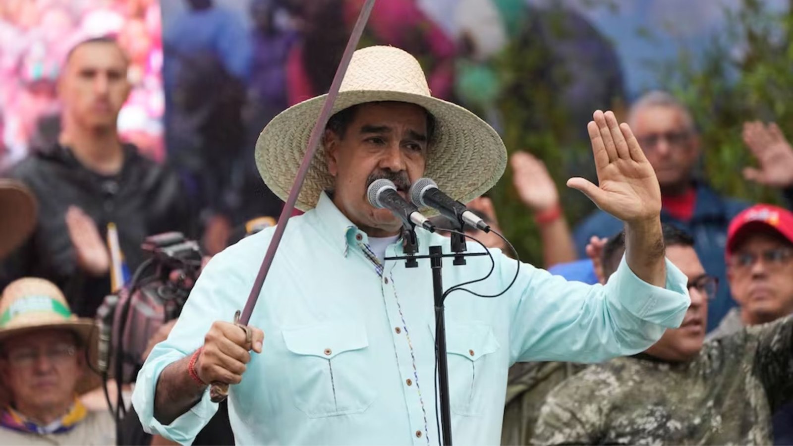 Plecas e informacion - 2025-12-17T211453.080