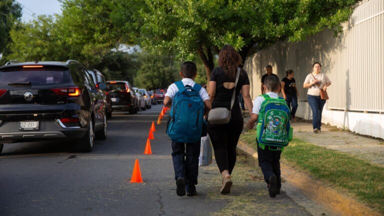 Plecas e informacion - 2025-12-18T201253.006