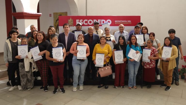 Plecas e informacion - 2025-12-18T203322.993