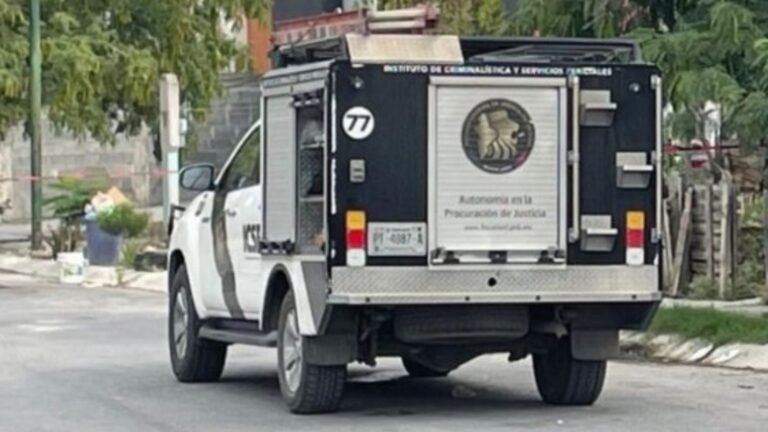 Plecas e informacion - 2025-12-20T151519.729