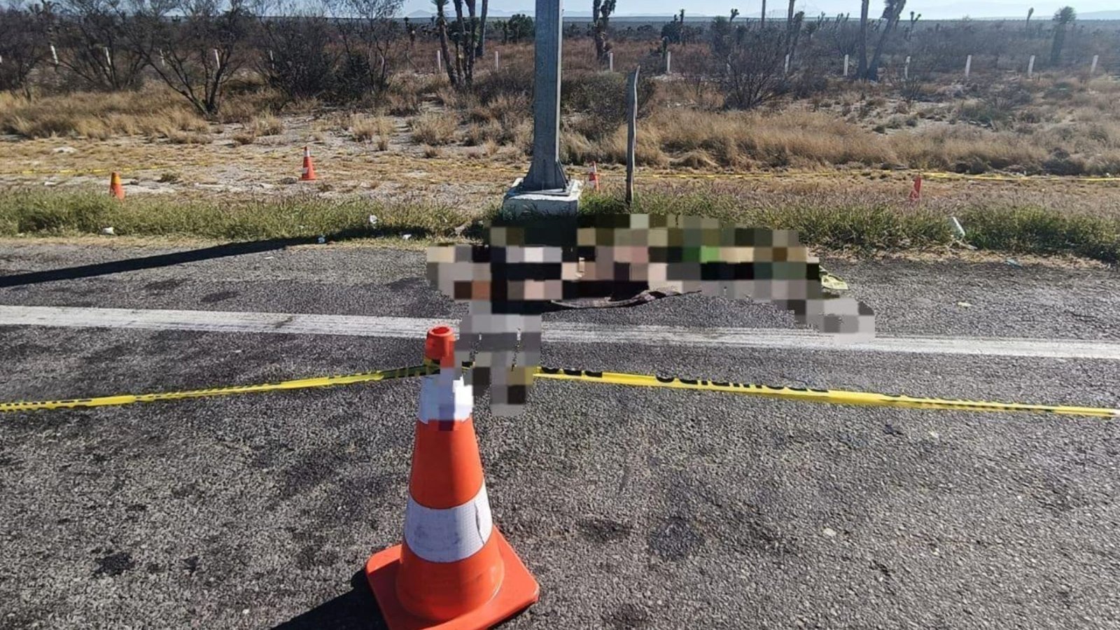 Plecas e informacion - 2025-12-20T152334.324