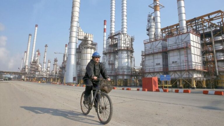 Plecas e informacion - 2025-12-20T160537.557