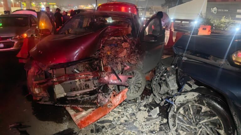 Plecas e informacion - 2025-12-21T145439.547