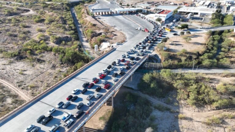 Plecas e informacion - 2025-12-21T150205.724