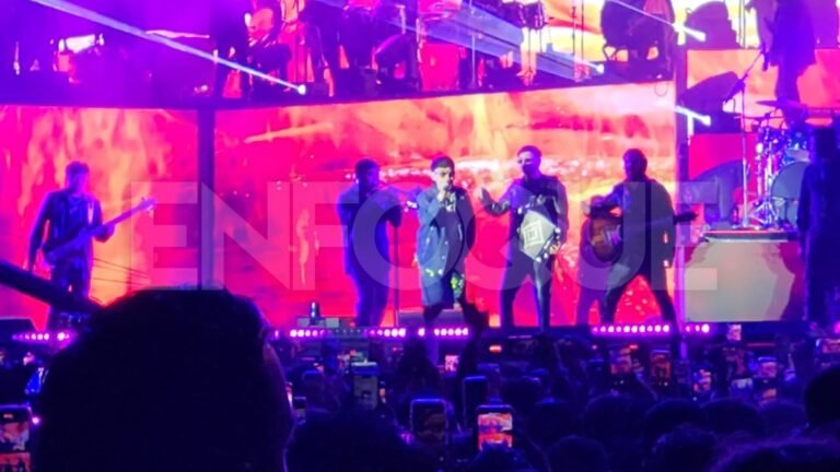 Plecas e informacion - 2025-12-21T151443.675