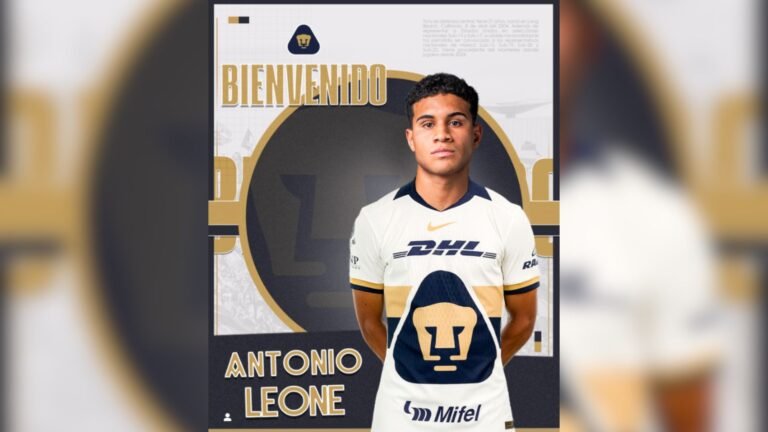 Plecas e informacion - 2025-12-22T195145.438