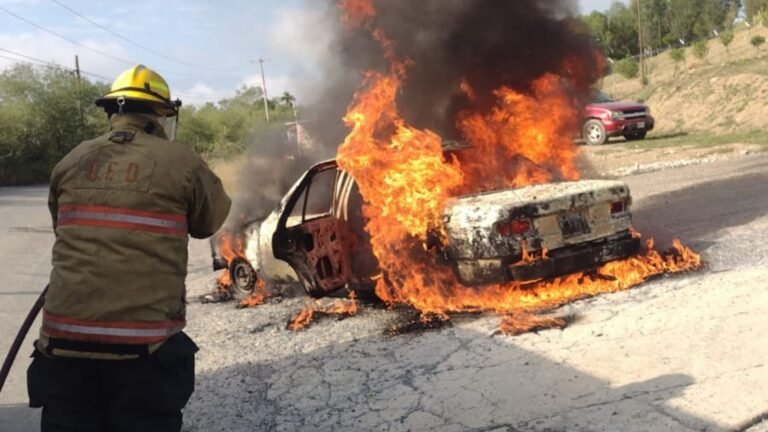 Plecas e informacion - 2025-12-23T151105.634